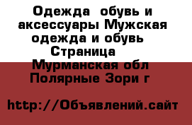 Одежда, обувь и аксессуары Мужская одежда и обувь - Страница 5 . Мурманская обл.,Полярные Зори г.